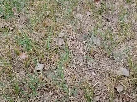 你种多少地给我没关系!请不要用语言攻击我们
