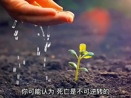 人死可以复生吗?科学家的研究给出肯定回答@科普中国 @Hi科普啦 #科普一下 #生命科学 #涨知识 #科学