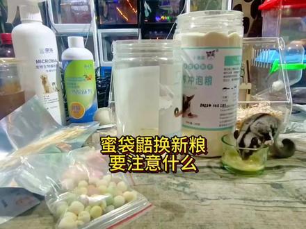 To.先回答你们,我为什么要换粮?因为之前的太贵了,难得找到一家性价比高的,便宜货还好,肯定换!这款蜜袋鼯营养冲泡粮,无乳糖、不含淀粉不变色,小蜜爱吃还健康。
To.蜜袋鼯换粮不吃怎么办?蜜蜜袋鼯换蜜粮直接换会拉肚子吗?蜜袋鼯换粮软便怎么办?怎么换粮?
不建议直接换粮的,需要新旧粮兑一起混合喂,逐渐增加新粮的量,以避免换粮后不吃、软便等情况,如果出现软便拉稀,可以用宠物益生菌拌捣碎的苹果来喂。
To.蜜袋鼯可以随便换粮吗?几个月换粮?可以换蜜粮吗?
如果旧粮吃起来一切OK,没必要频繁换粮,容易导致肠胃不适!幼蜜建议食用冲泡粮,成蜜可以换成颗粒粮。
#新手养宠 #科学养宠 #蜜袋鼯 #萌宠好物 #美拉德风