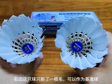你会修羽毛球吗?#羽毛球 #修羽毛球 @DOU+小助手