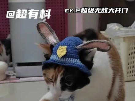 有时候真想求自己网瘾小一点!#萝卜纸巾 #超级无敌大开门 #萌宠 #搞笑 #三花猫