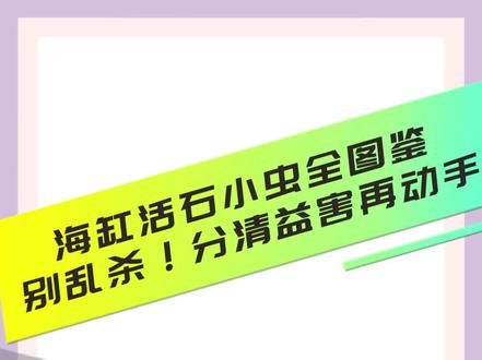 养海缸必存|分清益虫害虫不踩坑 海缸活石自带各种隐秘小生物,很多新手分不清好坏,盲目误杀有益虫,放任害虫泛滥毁整缸。
整理完整版海缸小虫图鉴,带颜色、带特征,一眼识别无害益生和高危害虫。
新手收藏对照不踩坑,老手查漏补缺,养海缸再也不用瞎猜乱清理!#
扁虫#钢毛虫 #海棉#海兔#垃圾葵