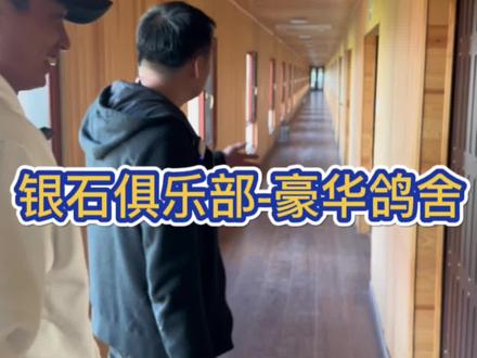 参观下银石俱乐部-杨总的种鸽棚-豪无人性#银石俱乐部#职业赛鸽 #鸽棚