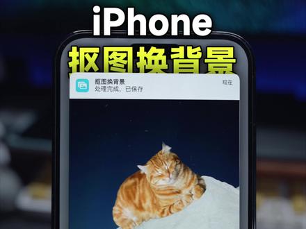 升级了iOS16,iPhone抠图换背景如此方便!#数码科技 #iOS16 #苹果手机 #iphone14