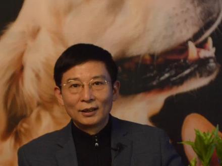 狗狗每天都在想什么?不仅研究你,还预判了你,只要你不嫌,我的窝给你 #狗狗 #宠物知识 #狗狗的日常