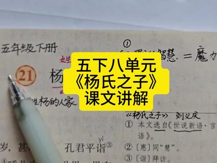 五下《杨氏之子》课文讲解 #五年级下册语文 #杨氏之子 #课文讲解 #必考考点