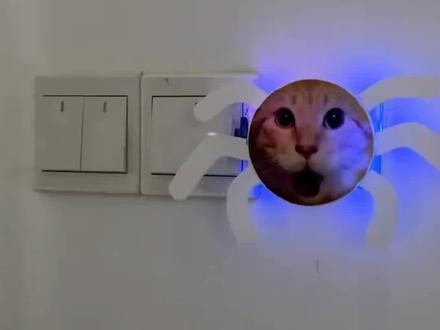 哈基米关灯神器曼波声控灯(带外壳版) #这关灯操作太抓马了 #哈基米 #曼波 #这哈基米版关灯神器太抽象了 #好物推荐