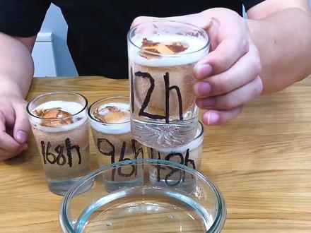 白醋泡鸡蛋实验结果终于出来了,有点失望 不建议大家尝试 #测评 #生活小妙招