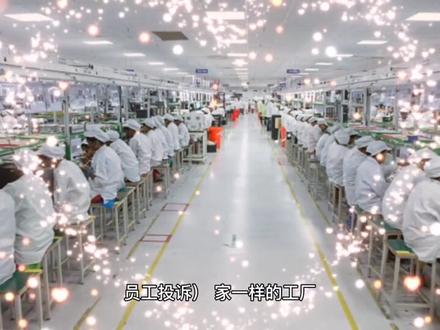 龙旗电子有限公司招聘正式工,快来围观!咱们不见不散!