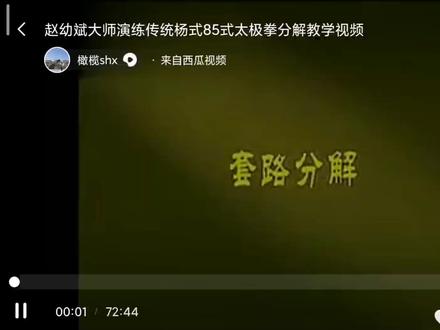 赵幼斌85式杨式太极拳分解教学