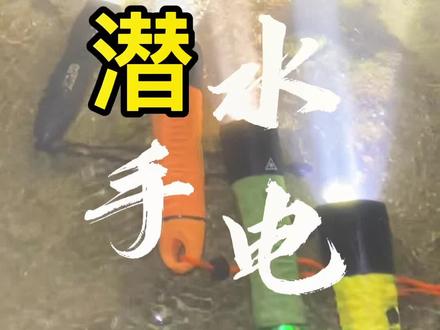 晚上赶海,潜水抓鱼抓螃蟹#强光手电 #潜水 #赶海