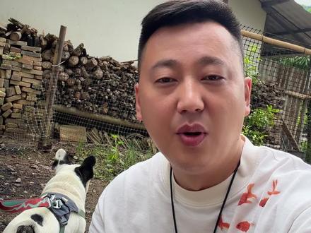 云南旅游注意预防毒蛇,雨林徒步和山里采菌子格外小心, 云南有100多种蛇你认识几种?