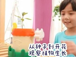 益智玩具 学习版6月号玩具《欢乐向日葵》,从播种到开出大大的太阳花,种植过程中记录植物的生长变化,让孩子从小爱观察,了解植物生长过程,培养孩子的科学兴趣!#种太阳花 #植物日记 #种植小技巧 #巧虎 #学习版6月号 #在家早教#亲子互动