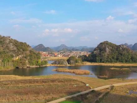 2026丙午马年生肖虎运势解析 #剧透人生