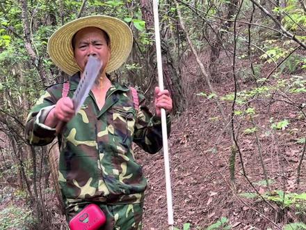 过山峰 眼镜王蛇咬了尽量丢车保帅,还有就是按照当地习俗做!#眼镜王蛇 #蛇类科普 #安全科普 #农村生活