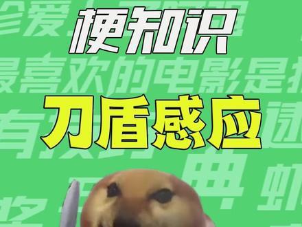 【梗知识】刀盾感应 #我的刀盾 #刀盾感应 #梗 #刀盾特效