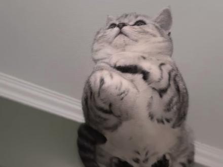 🐱:喵了个咪,有脏东西!#猫生 #猫猫 #虎斑喵 #小脑斧