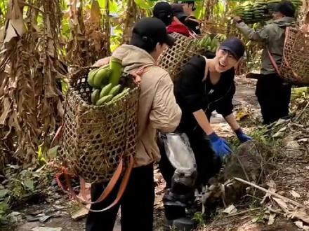 十个勤天之西藏砍香蕉#十个勤天 #种地吧 #禾伙人