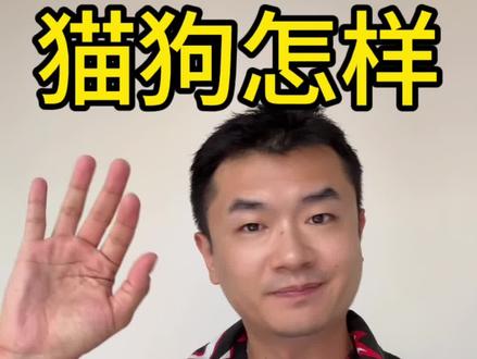 猫狗如何从国内带到澳洲 #澳洲生活 #悉尼留学