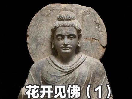 花开见佛(1) 杂阿含906经(庄春江译)
......如是,迦叶!如来正法欲灭之时,有相似像法生;相似像法出世间已,正法则灭。......
相应部16相应13经/相似正法经(庄春江译)
……同样的,迦叶!只要相似正法不在世间出现,正法的消失就不存在,迦叶!但当相似正法在世间出现,那时正法的消失存在。……
增支部5集141经/轻蔑经(庄春江译)
......比丘们!人如何是迟钝者、愚钝者?比丘们!这里,某人不知道善、恶法,不知道有罪过、无罪过法,不知道卑劣、胜妙法,不知道黑白有对比的法,这样的人是迟钝者、愚钝者。......
增支部1集140经(庄春江译)
“比丘们!凡那些比丘解说‘非法为非法’,比丘们!那些比丘是对众人利益,对众人安乐,对众人需要,对天-人们的利益、安乐的行者。比丘们!那些比丘产出许多福德,以及他们使这个正法存续。”
增支部1集141经(庄春江译)
“比丘们!凡那些比丘解说‘正法为正法’,比丘们!那些比丘是对众人利益,对众人安乐,对众人需要,对天-人们的利益、安乐的行者。比丘们!那些比丘产出许多福德,以及他们使这个正法存续。”
增支部10集113经/非法经第一(庄春江译)
“比丘们!非法与无利益应该被知道,法与利益应该被知道,知道非法与无利益;知道法与利益后,应该依法、依利益如是而实行。
比丘们!而哪些是非法与无利益呢?邪见、邪志、邪语、邪业、邪命、邪精进、邪念、邪定、邪智、邪解脱,比丘们!这被称为非法与无利益。
比丘们!而哪些是法与利益呢?正见、正志、正语、正业、正命、正精进、正念、正定、正智、正解脱,比丘们!这被称为法与利益。
比丘们!非法与无利益应该被知道,法与利益应该被知道,知道非法与无利益;知道法与利益后,应该依法、依利益如是而实行。”