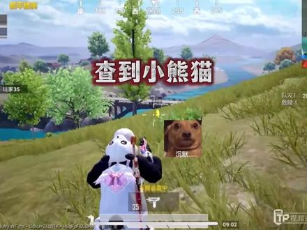 离谱了这个…#和平精英猎鹰系统 #和平精英刺激归来 #李有种