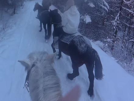 骑马好不好学?你自己看看吧,我觉得不难,长白山雪地摩托穿越带队的一天——大疆osmo360#户外 #长白山穿越#滑雪相机#大疆osmo360