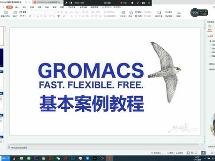 gromacs初学教程1-溶菌酶教程(上) #分子动力学 #分子动力学 #gromacs #经验分享