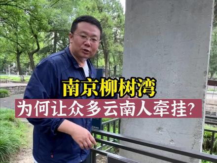 南京柳树湾,为何让众多云南人牵挂?#柳树湾 #云南 #沐英 #飞哥说南京 #明故宫