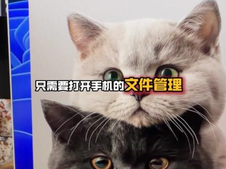 手机照片、视频、聊天记录不小心永久删除?无需软件,自己恢复! 下一期出:苹果数据恢复
当你在相册里浏览、缩放、分享照片或视频时,系统会生成对应的缩略图、低清预览图或视频关键帧,并将它们临时存放在这个目录里。
这样做的目的是加快下次打开速度,减少对主存储中高清源文件的反复读取,从而提升相册流畅度。
这些缓存文件通常是 .jpg、.png 或系统自定义的缓存格式,文件名可能是一串哈希值或时间戳。
2. 为什么能 “恢复”
当你在相册里删除照片或视频后,主存储里的高清源文件会被标记为 “可覆盖”,但缓存目录里的预览图 / 关键帧可能还没被系统自动清理掉。
数据恢复工具或手动查找时,能从这个目录里提取出这些残留的缓存文件,虽然它们不是高清原图 / 原视频,但可以作为 “恢复” 的素材,尤其是在源文件已被覆盖、无法找回时。
#数据恢复 #手机数据恢复 #手机知识 #小米手机