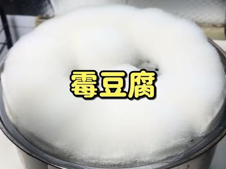 终于做上我期待已久的霉豆腐了~#霉豆腐 #霉豆腐制作 #自己在家做美食 #创作者中心 #创作灵感