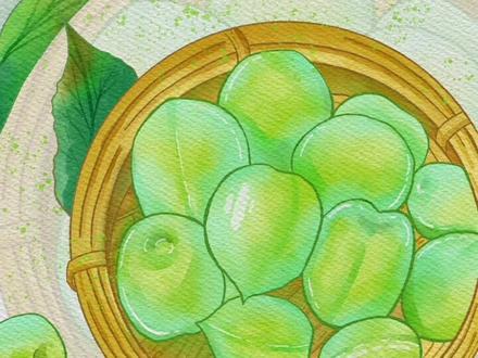 #创作灵感 #procreate绘画 #ipad绘画教程 #procreate入门教程 procreate 水彩风格青梅画画过程@抖音小助手