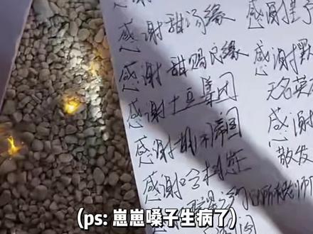 我们无法预知某个瞬间的价值,直到它成为回忆 #听潮阁甜崽 #群星之约甜崽 直到现在我才发现,甜崽你才是自己的那个心软的神。@𝑇.甜崽ᵀᶻ⁷