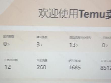 temuEPR注册#temu #跨境电商