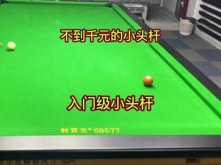不到1千的小头杆,入门级的导师#台球 #台球是一种生活 #台球器材