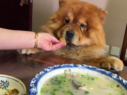 排骨焖饭 香迷糊#威海#威海美食#排骨焖饭