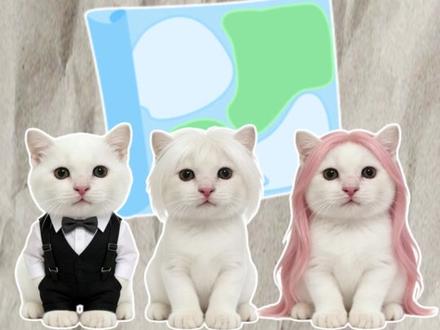 什么叫做见世面? #科普 #动画 #猫meme #社会 #世面