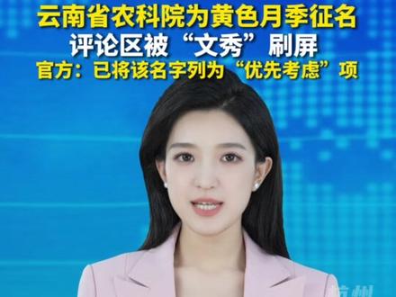 云南省农科院启动黄色月季的网络征名,评论区被“文秀”刷屏…#主播说新闻 #热点