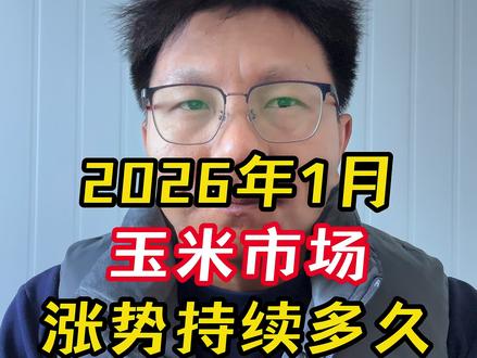 一月玉米行情走势分析 #三农 #抖音助农 #玉米行情 #玉米价格 #玉米种植