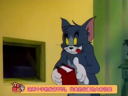 #下颌线与下颚线的区别 为什么我的脸上只有肉没有线!!