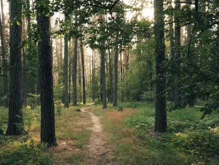 告诉自己的孩子,一个人晚上最好不要单独出行,保护好自己#远离危险 #提高安全意识 #希望每个孩子都被保护