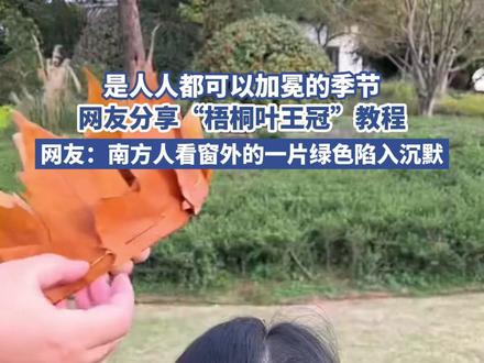 是人人都可以加冕的季节,网友分享“梧桐叶王冠”教程