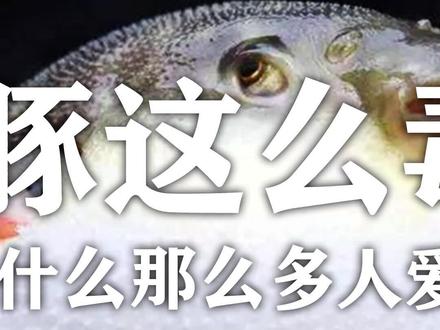 河豚这么毒 ?为什么那么多人爱吃?(2/3)