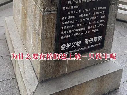 一只守桥,一只溜#分享有趣的视频