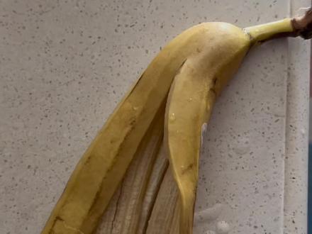 关于香蕉皮我这样做的#香蕉皮的功效与作用 #香蕉🍌 #一口一口把你吃掉