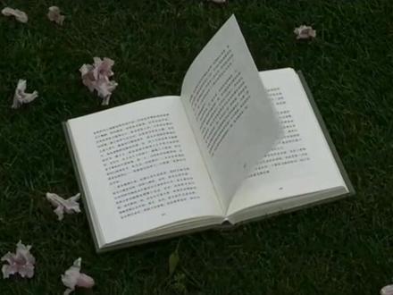 初看是书名,再看是他们的一生
#凛的音频 #小说