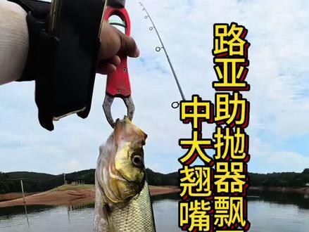 路亚助抛器飘玉米,好玩,易上手,可钓远可钓近,不调漂不找底 #路亚 #路亚新手入门教程