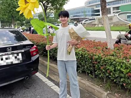 向日葵教程来啦,大家需要的自取吧🌻#高考 #中考 #向日葵