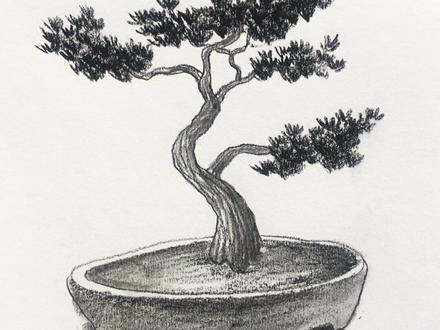 #五一 宅家画画,教你画盆景松树#我要上热门 #一起学画画 #画画其实很简单@抖音小助手 @DOU+小助手