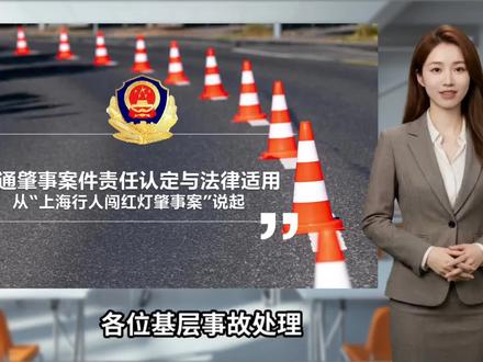 #案例分析 行人交通事故典型案例