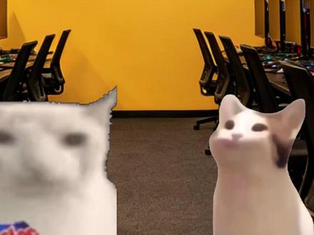 《当有人问你用什么固态 》 #固态 #装机 #猫meme